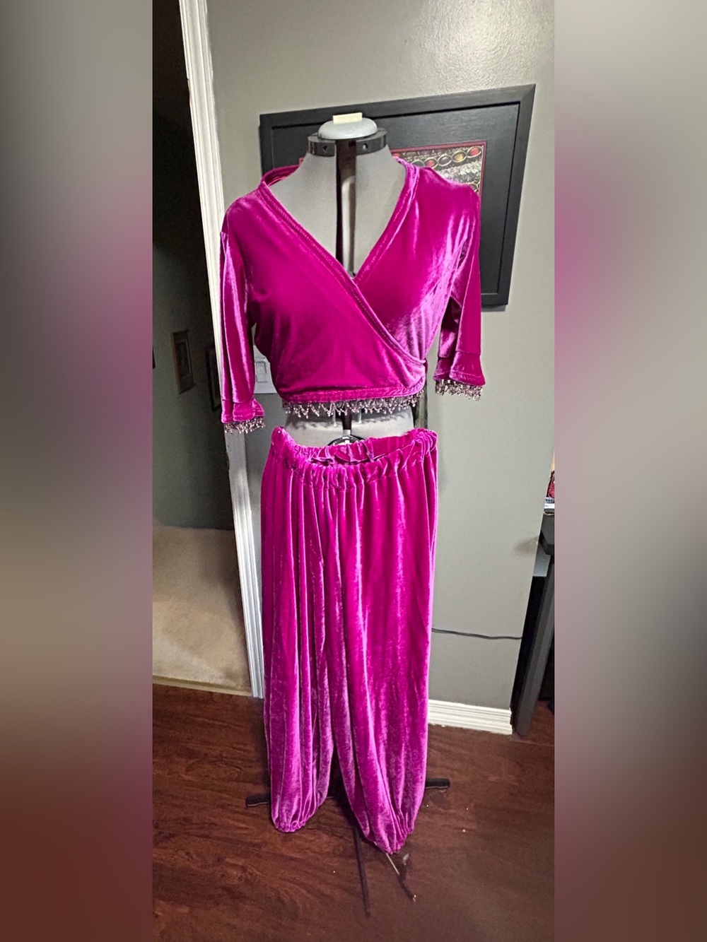 Worn Once Bright Pink Velvet Harem Pants with Top Belly Dance Costume